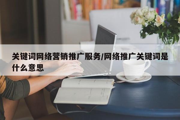 关键词网络营销推广服务/网络推广关键词是什么意思